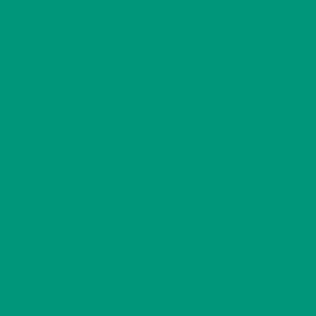 B@BY FOREST GREEN Ver. 100％ &amp; 400％ Summer Forest Green Hex Color (Shades & Complementary Colors)